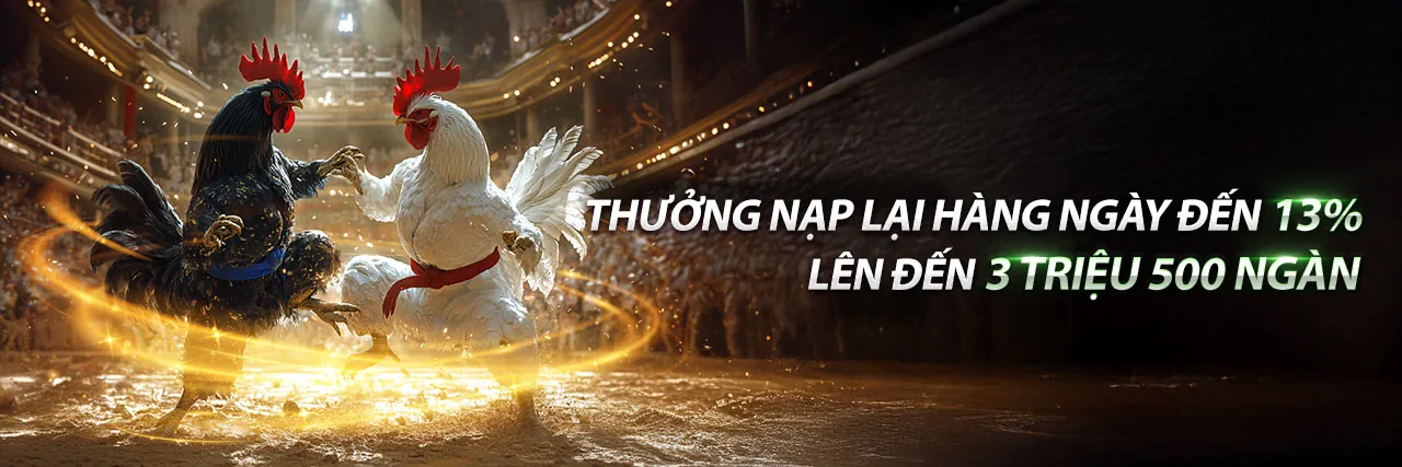 Đá gà trực tuyến W88 VT với các trận đấu sôi động